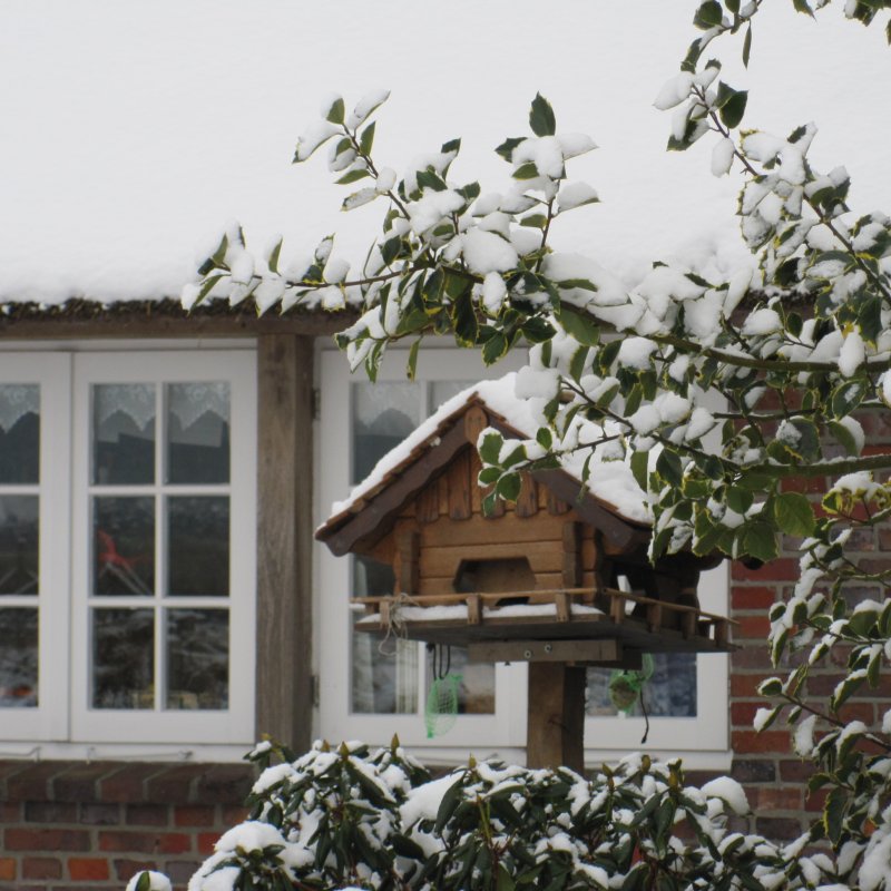 Am Hohen Feld